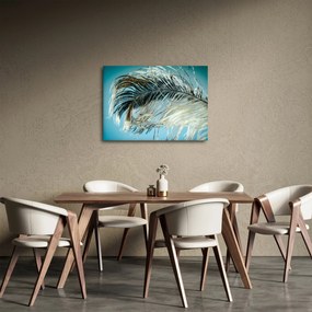 Obraz pióra (70x50 cm)