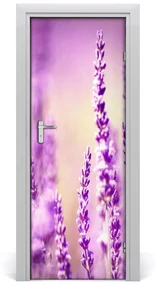 Fototapeta samoprzylepna na drzwi Lawenda
