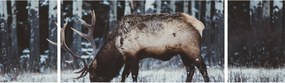 Obraz - jeleń zimą (170x50 cm)