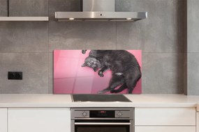 Panel nad Blat Kuchenny Kot w Pozycji Leżącej