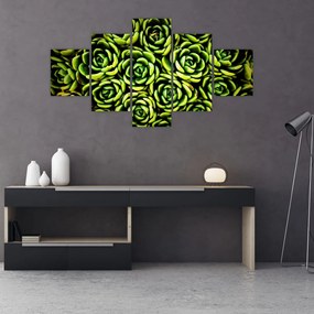 Obraz bez grzywki (125x70 cm)