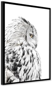 Obraz 50x70 cm Owl – Styler