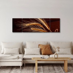 Obraz - Fragment kłosa żyta (170x50 cm)