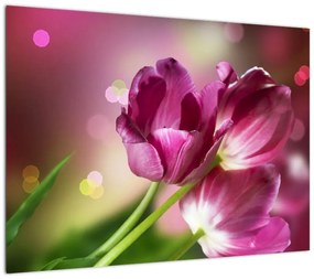 Obraz różowych tulipanów (70x50 cm)