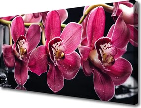 Obraz canvas Pędy Storczyka w Rozkwicie
