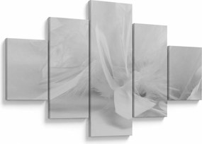 Obraz - Pióra (125x70 cm)