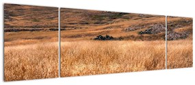 Obraz pola (170x50 cm)
