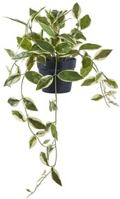 Sztuczna roślina (wysokość 33 cm) Hoya Carnosa – House Nordic
