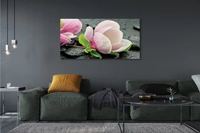 Obraz canvas na ścianę Magnolia i Kamienie