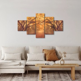 Obraz drogi w jesiennym krajobrazie (125x70 cm)