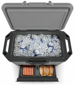 Ninja FB151EUGY lodówka turystyczna Frost Vault, 47 l, L