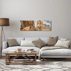 Obraz - dwie lwice (z zegarem) (90x30 cm)