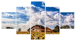 Obraz pola słoneczników (125x70 cm)