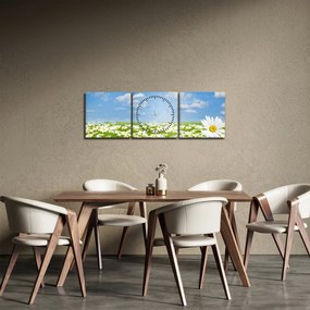 Obraz kwitnącej łąki ze stokrotkami (z zegarem) (90x30 cm)