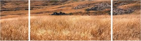 Obraz pola (170x50 cm)