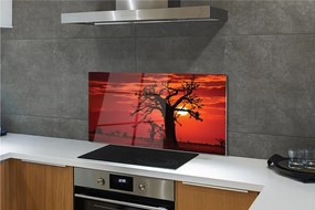 Szklany Panel Drzewa pod Zachmurzonym Niebem