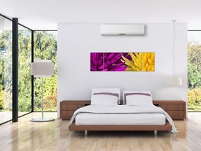Obraz - szczegóły kwiatów (170x50 cm)