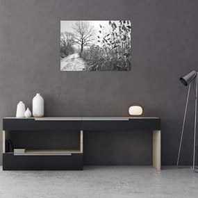 Obraz na szkle - Pola w zimie (70x50 cm)