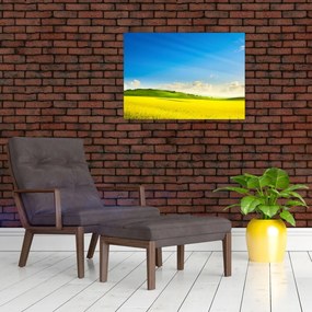 Obraz - Wiosenne niebo (70x50 cm)