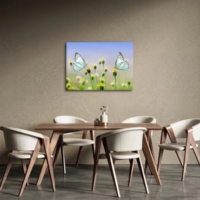 Obraz motyli na kwiatku (70x50 cm)