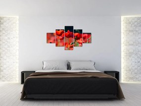 Obraz - maki (125x70 cm)
