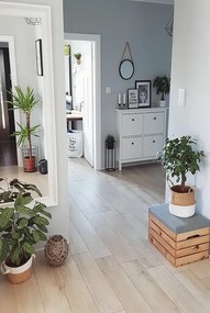 Sosnowa Skrzynia Z Siedziskiem 38 Kolorów P0-N53