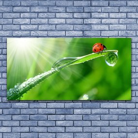 Obraz canvas na ścianę Mała Biedronka na Źdźble