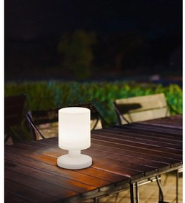 Solarna lampa zewnętrzna LED (wysokość 21 cm) Lora – Trio