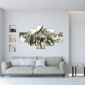 Obraz - Żyrafy, vintage (125x70 cm)