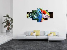 Obraz - Papuga (125x70 cm)