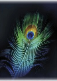 Obraz na płótnie Peacock Eye