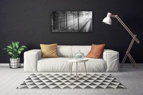 Obraz canvas na ścianę Kaskada nad Górską Przepaścią