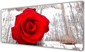 Panel Szklany do Kuchni Aksamitna Róża Ogrodowa