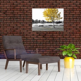 Obraz - Odpoczynek w parku (70x50 cm)
