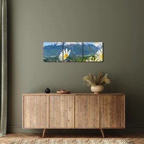 Obraz - Wiosna w Alpach (z zegarem) (90x30 cm)