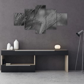 Obraz - Suszona trawa pampasowa (125x70 cm)