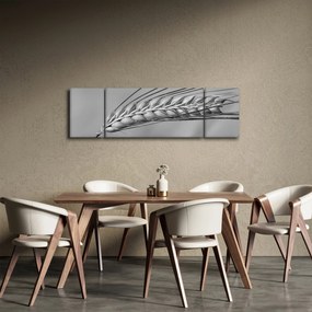 Obraz - Pszenica, czarno - biały (170x50 cm)