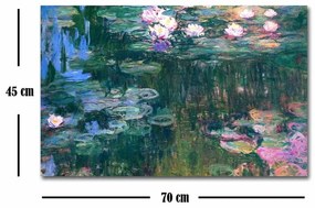 Reprodukcja obrazu na płótnie Claude Monet, 45x70 cm