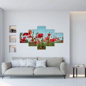 Obraz - Na polu maków (125x70 cm)