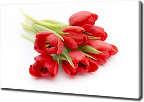 Foto obraz na płótnie Czerwone tulipany