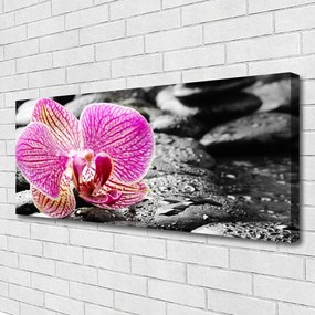Obraz na płótnie Orchidea na Kamieniach Rzecznych