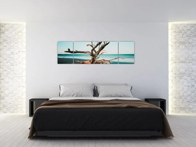 Obraz -  Wyłowiono na plaży (170x50 cm)