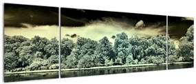 Obraz akwenu wodnego (170x50 cm)