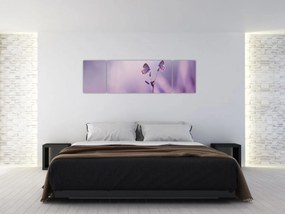 Obraz - Fioletowe motyle (170x50 cm)