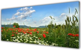 Panel Szklany Sielska Polana Kwiatowa