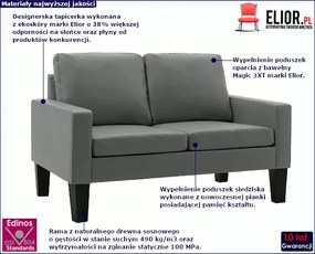 Szara dwuosobowa sofa do salonu - Clorins 2X