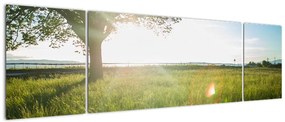 Obraz letniej łąki (170x50 cm)