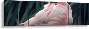 Obraz - Flaming (170x50 cm)