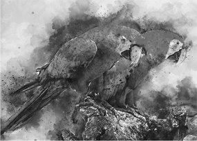 Obraz - Papugi akwarelowe (70x50 cm)