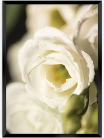Plakat Flower Wall